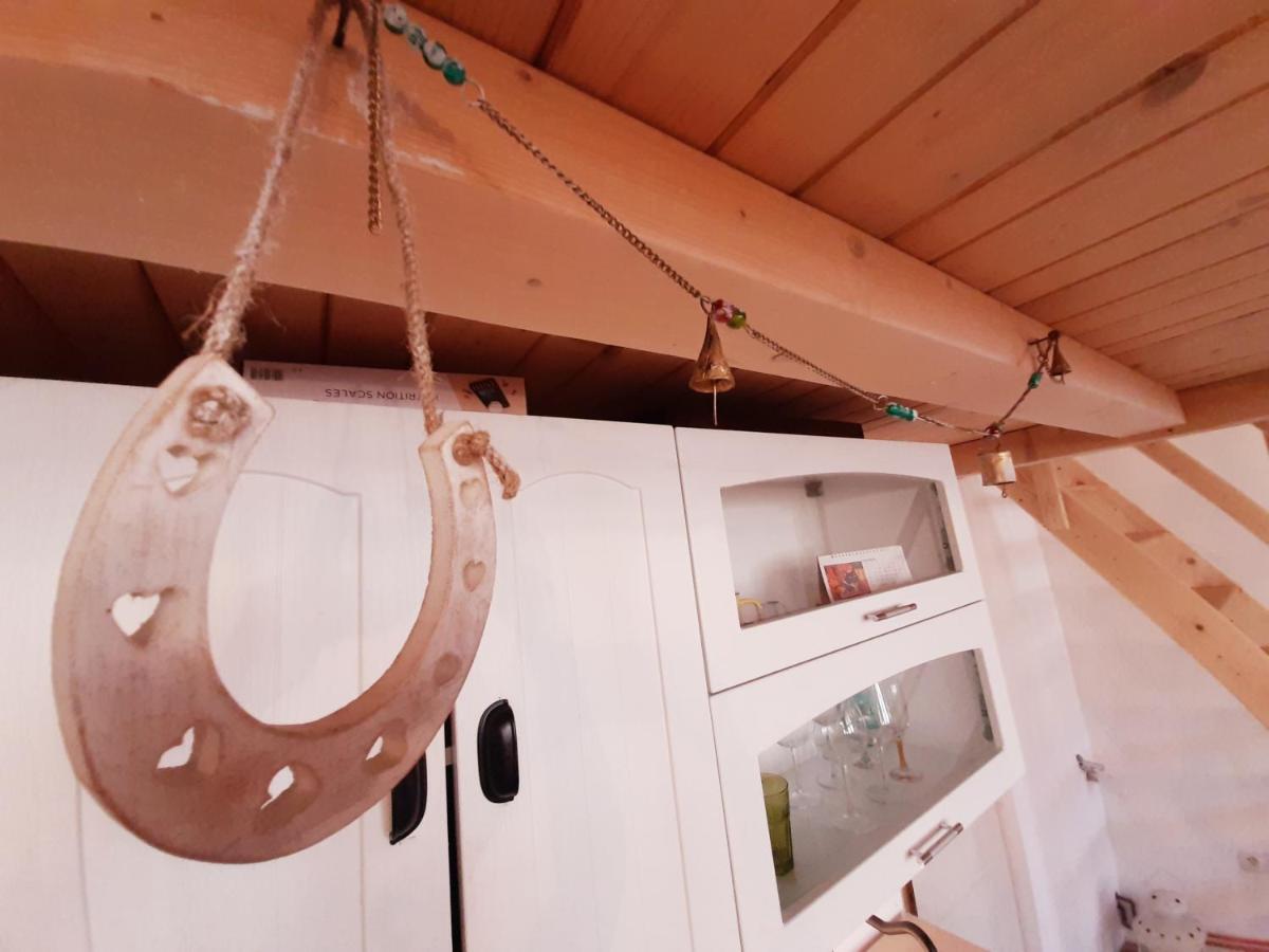 براشوف Central Loft Apartment المظهر الخارجي الصورة
